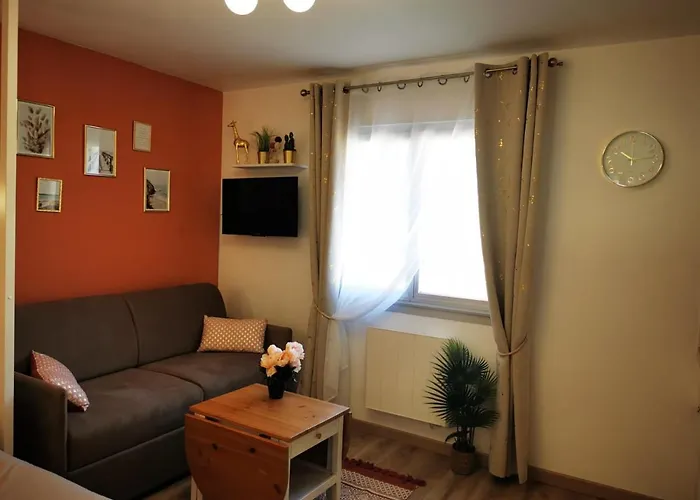 Apartment Petit Quai - Entierement Renove Plein Centre *